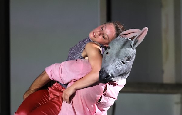 Teatro, danza e musica sul palco del Comunale "Luciano Bonaparte"