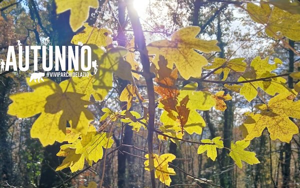 Al Museo del Fiore una giornata didattica con le scuole sui rischi della plastica