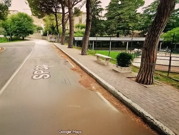 "Perch&eacute; tagliare i pini di Lugnano in Teverina?"