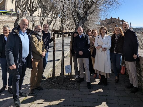 Il Rotary Club compie 90 anni e dona 14 alberi al centro storico