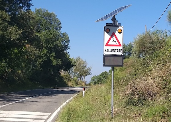 La Provincia installa un nuovo Avc per la prevenzione degli incidenti provocati da animali selvatici