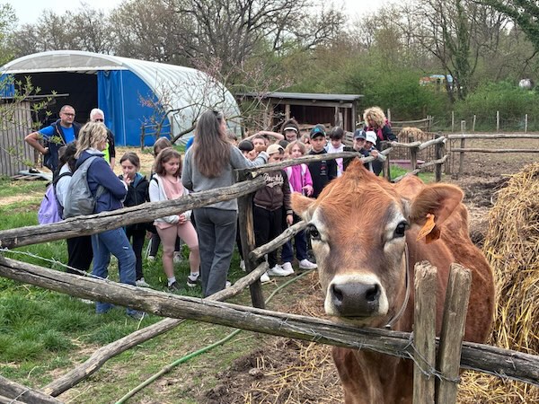 Passeggiata con il CAI tra natura e tradizioni per gli alunni delle classi IV e V della Scuola Primaria 