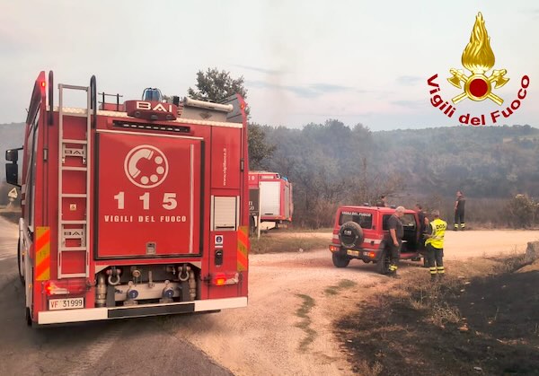 A fuoco bosco e sterpaglie, in azione cinque squadre dei Vigili del Fuoco e mezzi aerei